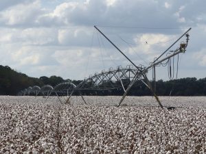 irrigated farm land financing