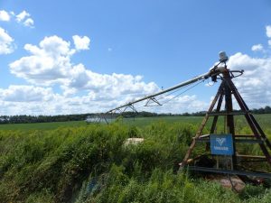 irrigated farm land financing